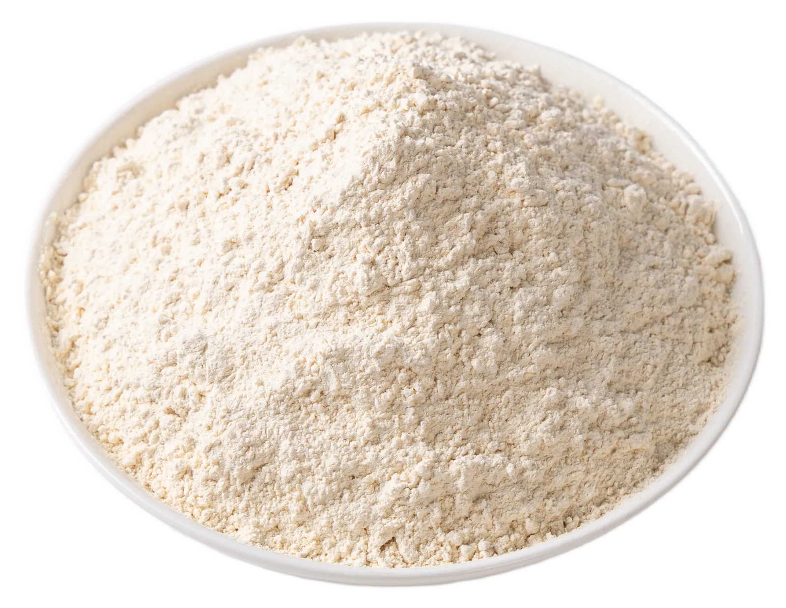 Foto Garlic Powder dari Karunia Agung Perkasa