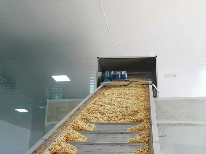 Jalur pengeringan dan pengangkutan bawang putih pada lini produksi